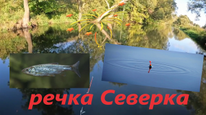 Первая рыбалка на маленькой речке Северке с плитой! Уклейка прёт!!! Осенняя рыбалка 2023