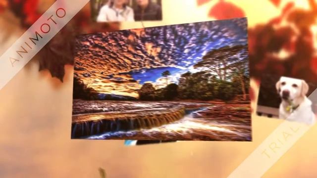 зачем слова если на небе светит звезды смотреть онлайн