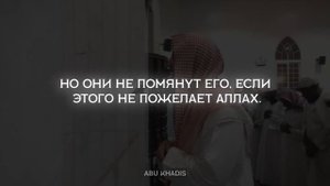 Абдурахман Наджи \ имитация Шейха Люхайдана