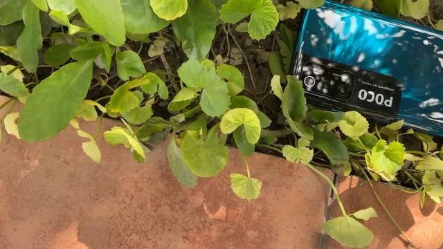 Poco M3 Pro 5G Full Review - স্টাইলিশ ফোন!!!