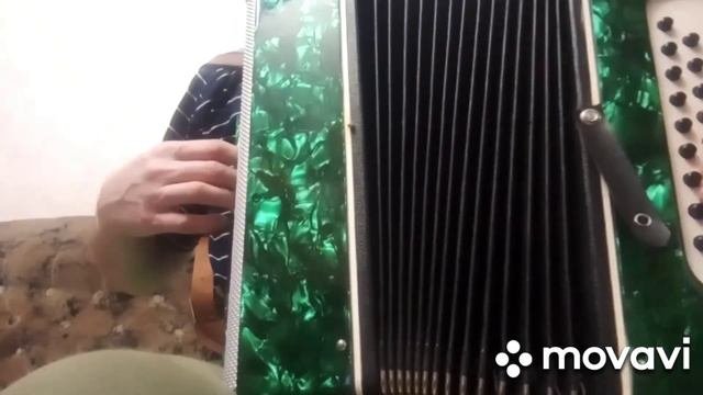 Гармонь Вологодская, душевное попури.