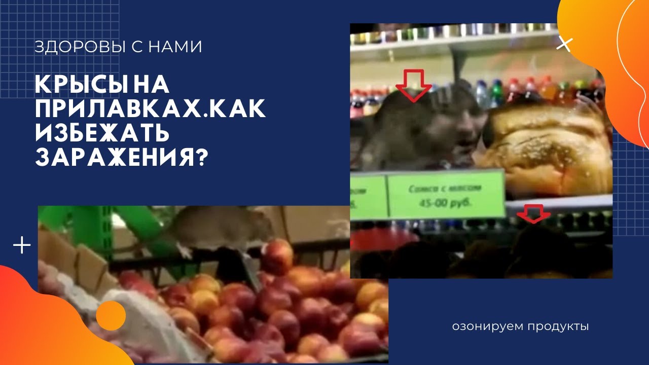 Крысы на прилавке днем. Как избежать заражения.mp4 смотреть онлайн