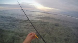 Seychelles (Mahé)Fishing from the coast part 2. Сейшельские острова( Маэ) Рыбалка с берега часть 2.