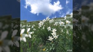 Клип "Что день грядущий нам готовит?"