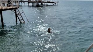 База отдыха Радуга в не-сезон