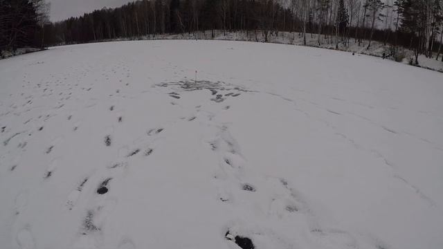 Рыбалка на реке Соложа / Слабый клев смотреть онлайн