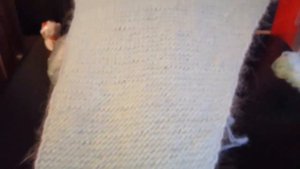 Про вязание. Продолжение, бактус из пряжи "Пух норки"