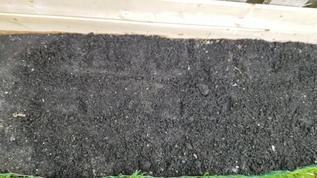 SQUARE FOOT GARDENING / Vegetable Seeds starting Canada 2021 ZONE 5B/ How to Start Vegetable Garden