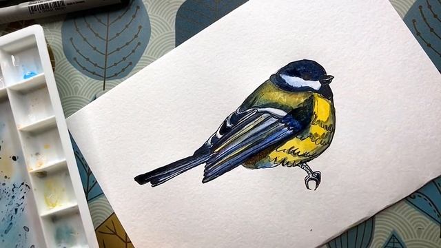 Как нарисовать птичку синичку . How painting a bird sketch watercolor смотреть онлайн