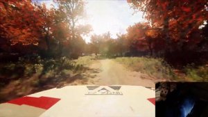 Audi Quattro S1 Group B MAX ATTACK | Dirt Rally 2.0 | Livio HD