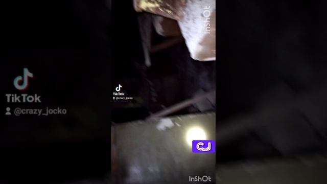 продолжение дигер шахта дигер страх