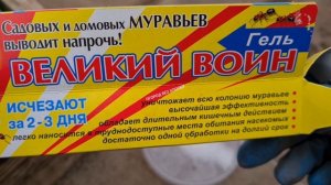 Гель от муравьев "Великий Воин" в действии.