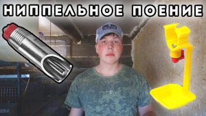 ЧТО ТАКОЕ НИППЕЛЬНАЯ СИСТЕМА ПОЕНИЯ! Все виды ПОИЛОК.!