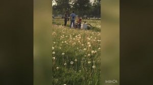 Хоразм ургенч хоразмча гаплаш руслара типичный хорезмский язык