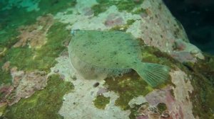 МИР СОГРЕТОГО ХОЛОДА