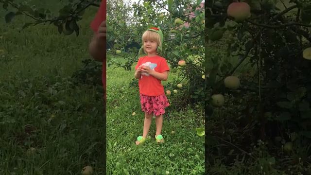 "Катюша" - поет малышка. Как правильно петь военные песни. смотреть онлайн