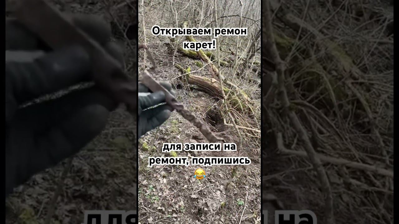 Топ стартап 2024  - Ремонт карет от ХХ