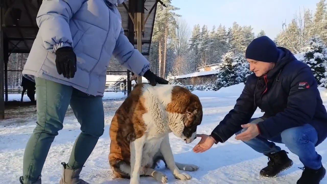 Экскурсия в питомнике САО УСАДБА КАРХУЛА. ответы на вопросы гостей. смотреть онлайн