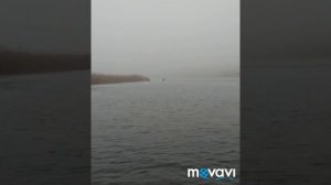 Мотор гибрид ветерок 8