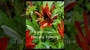 Так просто прийти к Иисусу Христу. Христианская песня.