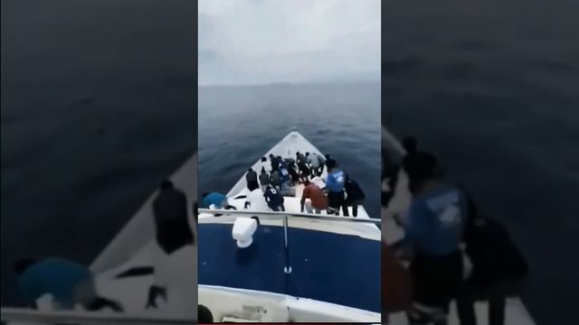 Намаз во время при любых условиях #islam #muslim #мусульмане #рекомендации смотреть онлайн