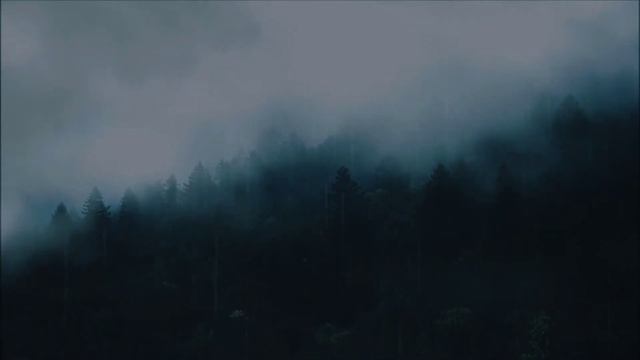 35  идей что подарить(попросить) НА НГ!✨???//Олли Mouse
