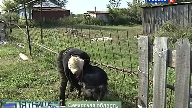 Что делать с дойным козлом? смотреть онлайн