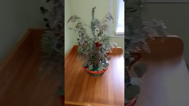 композиция из сухоцветов