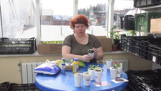 2020 04 02 ВО САДУ И В ОГОРОДЕ смотреть онлайн