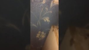 Как спаять батарейки параллельно