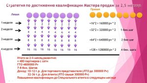 ПРОСТАЯ стратегия: как выйти на мастера продаж за 2,5 месяца в Атоми.