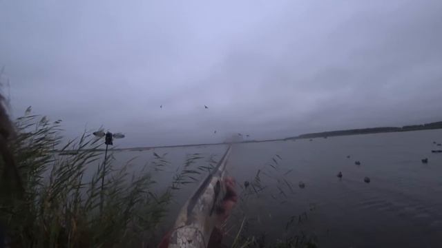 Открытие охоты 2021. Утки нет но мы её добыли. Розыгрыш чехла. No duck but we got it