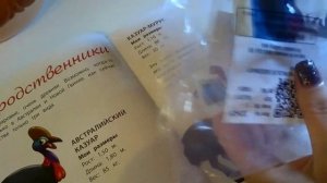 Животные дикой природы DeAgostini номер 24 КАЗУАР