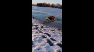 ПРИКОЛЫ РЫБАЛКА ЛУЧШЕЕ