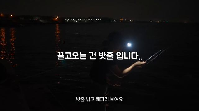 32일만에 드디어 잡았습니다!!ㅣ낚린이의 무늬오징어 에깅 낚시ㅣ조행기ㅣ무늬오징어 요리&먹방 смотреть онлайн