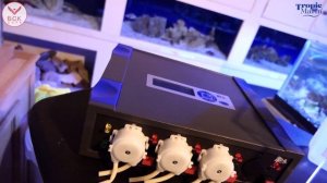 Tropic Marin — Оригинальный Баллинг Метод. Контроль Кальция и kH №1 // Original Balling Method (рус