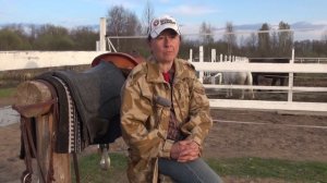 Покупка первой лошади. Жеребёнок или взрослая и почему?