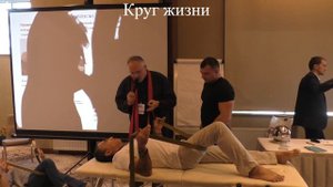 Ивашкевич Михаил "Остеокинезиология: нормализация лимфоорбращения и микроциркуляции в области таза"