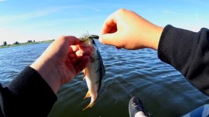 Открытие лодочного сезона. Рыбалка с лодки 2018!  Lowrance Hook2 5x GPS SplitShot