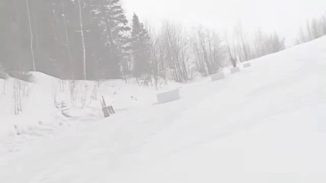 Могул Спорт палитра