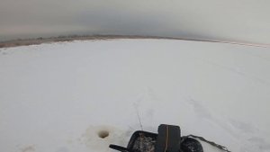 Нарвались на окуня в берегу. Зимняя рыбалка на окуня. Ловля окуня на блесну. Зимняя блесна