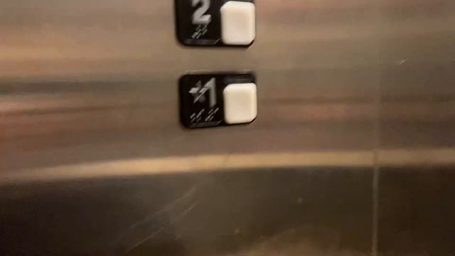 Bloomies elevator new смотреть онлайн