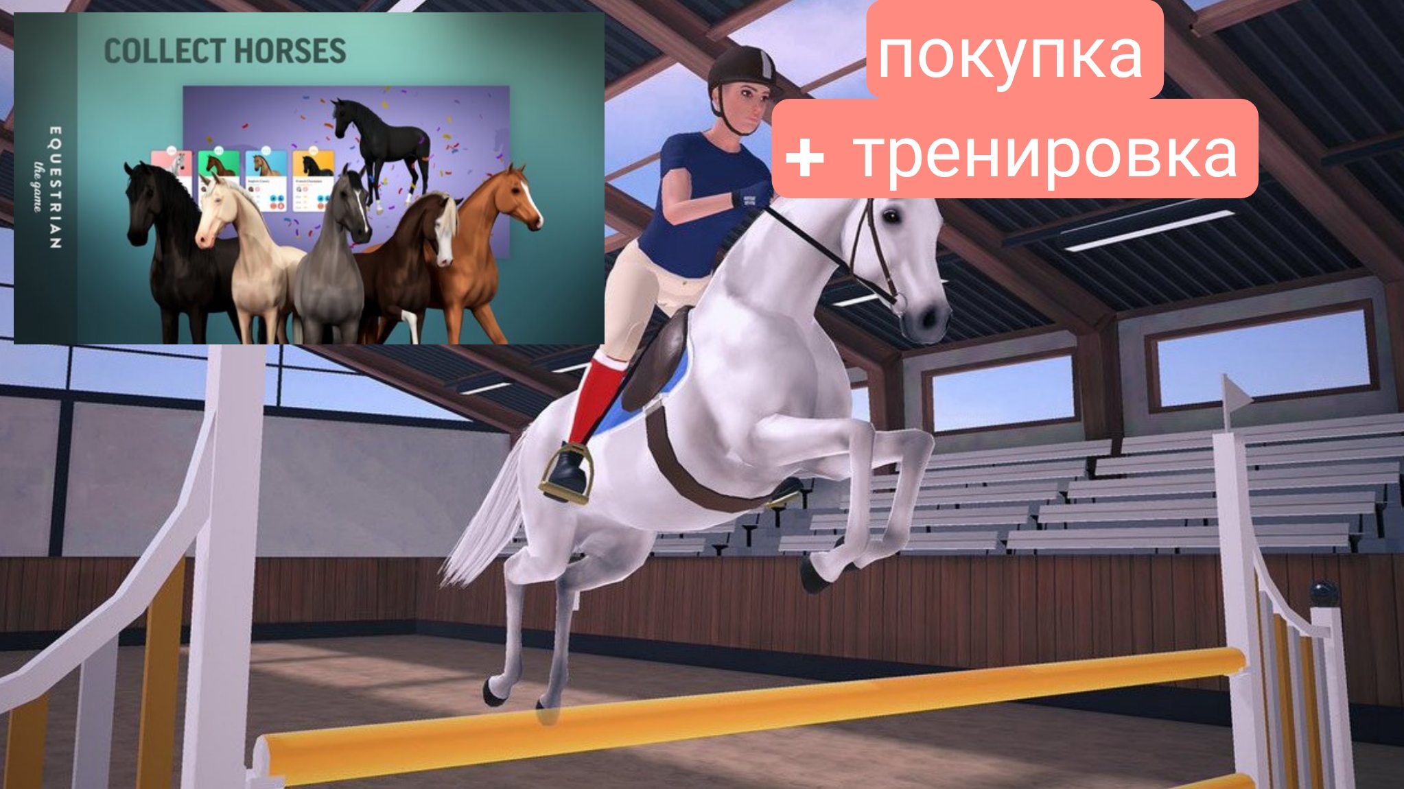 Сюжет игры my Horse Price