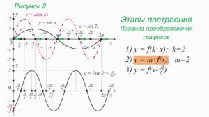 20 График гармонического колебания