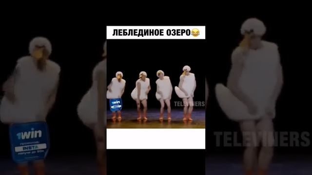 лебединое озеро ??????