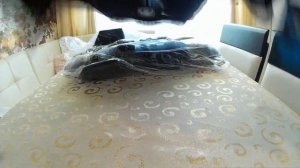 Мото броня, черепаха, шорты, наколенники из aliexpress