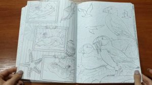 Раскраска"Коралловый риф"-обзор