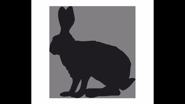 Начальная школа. English - Тест Звери