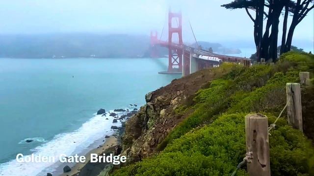 ROADTRIP THE USA WITH ME WHILE I LIVE IN A FORD MUSTANG смотреть онлайн