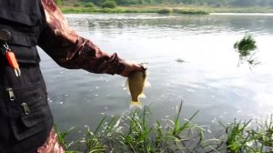 Рыбалка на Исети | Двуреченск | Подъязки | Карасики |